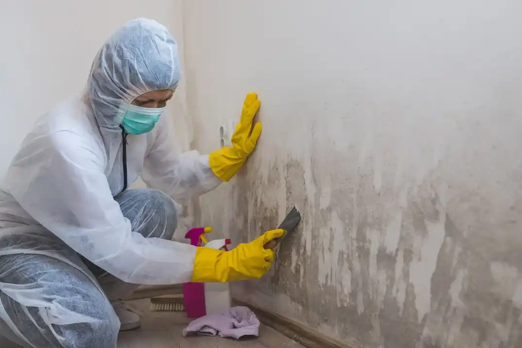 water damage restoration service East Brooke